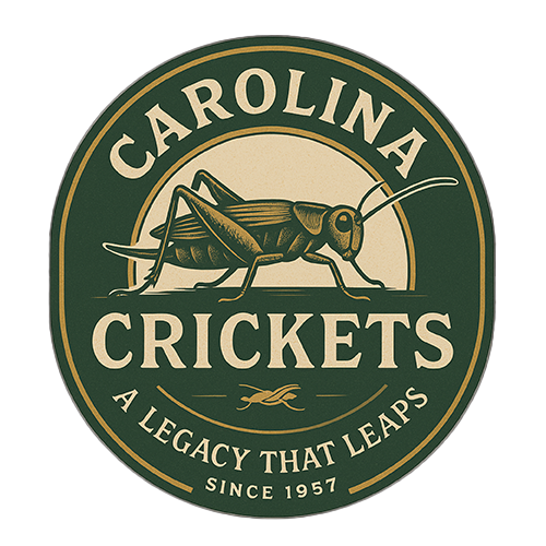 Carolina Crickets