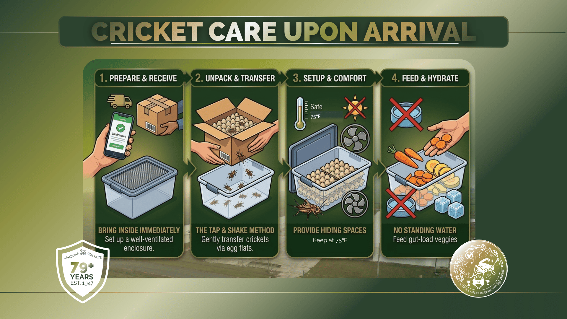 How to unpack and care for live crickets