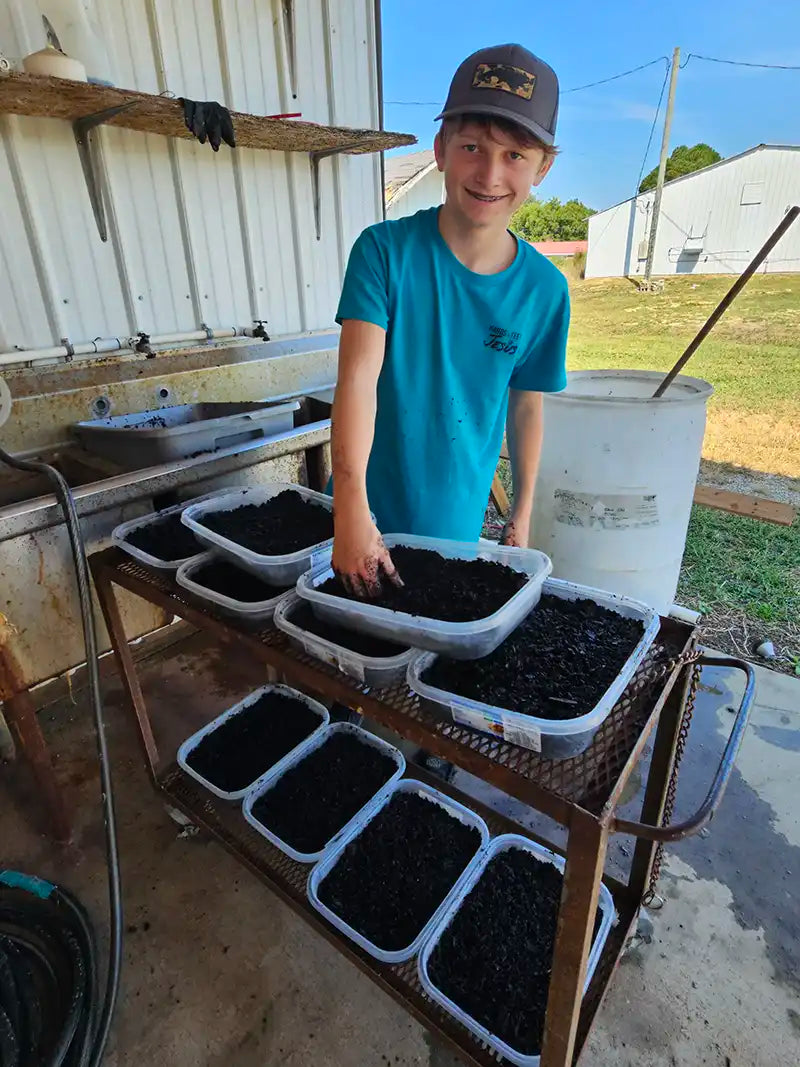 About Carolina Cricket Farms