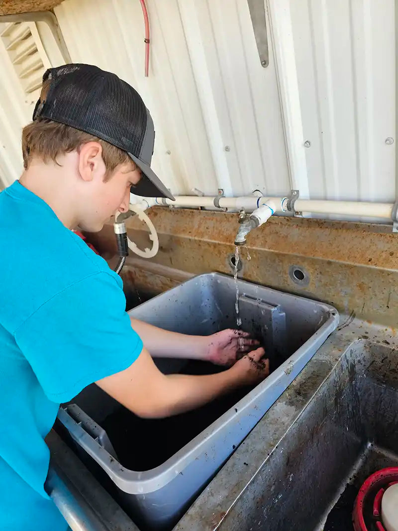 About Carolina Cricket Farms