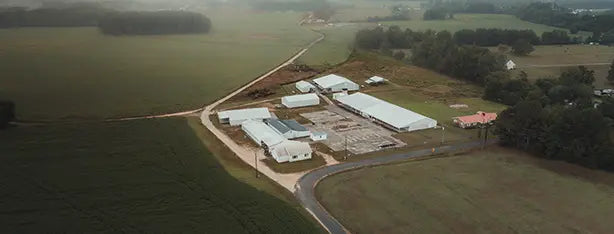 Carolina Crickets About Us