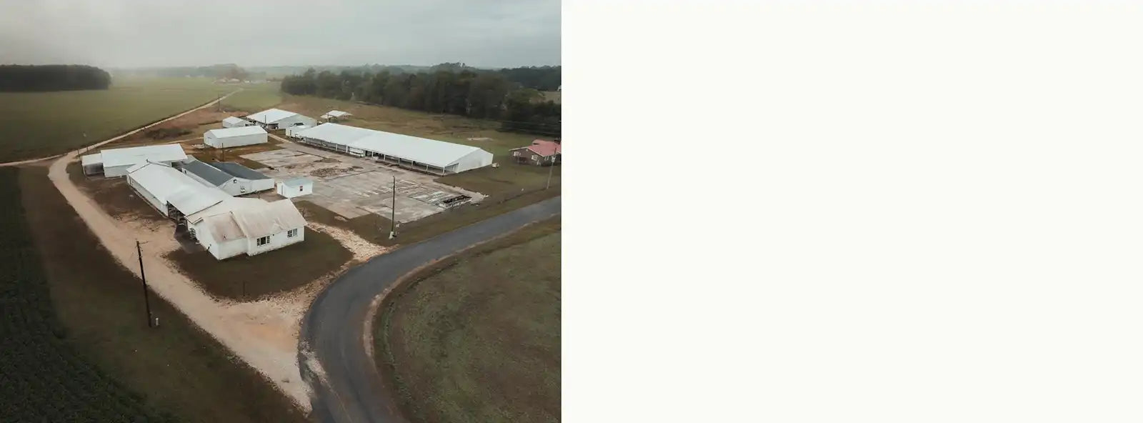 Carolina Cricket Farm