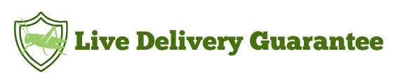 Carolina Crickets Live Delivery Guarantee