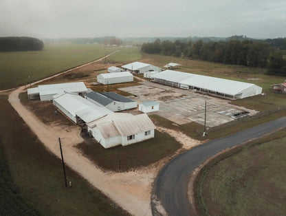 Live Crickets for Sale | Farm-Direct from Dunn NC - Carolina Crickets